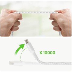 Belkin BOOST CHARGE 1m USB Type-C Cable - Premium Quality, Fast Charging, Durable & Stylish White Design